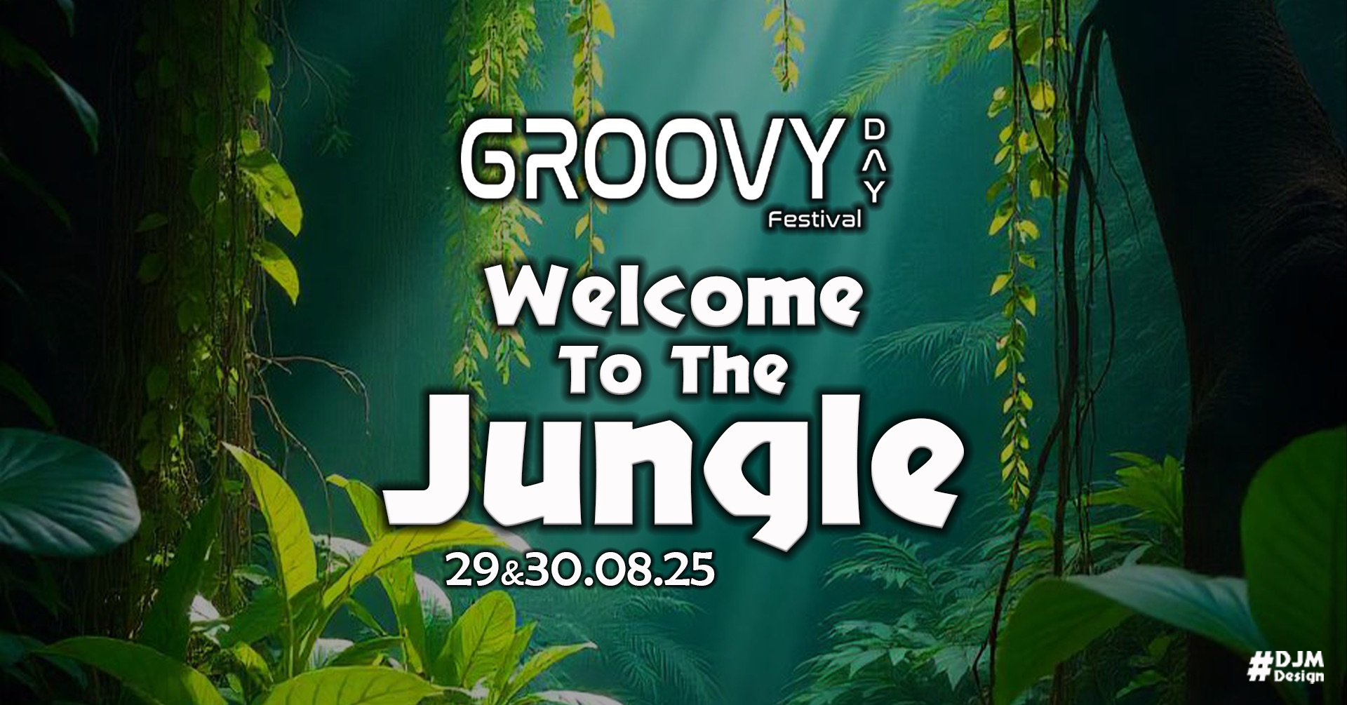 Image de l'événement Groovy Day Festival 2025