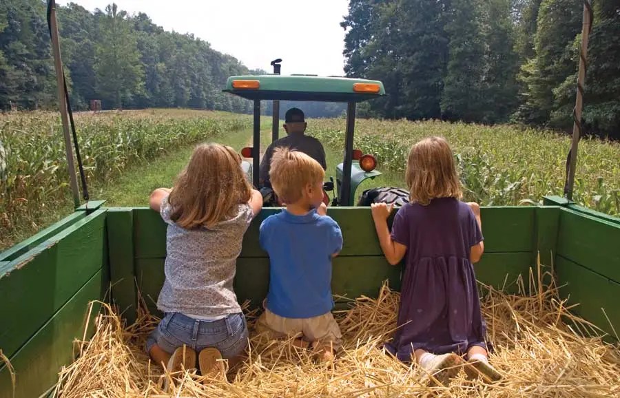 Image de l'événement Stages à la ferme pour les 3-6 ans