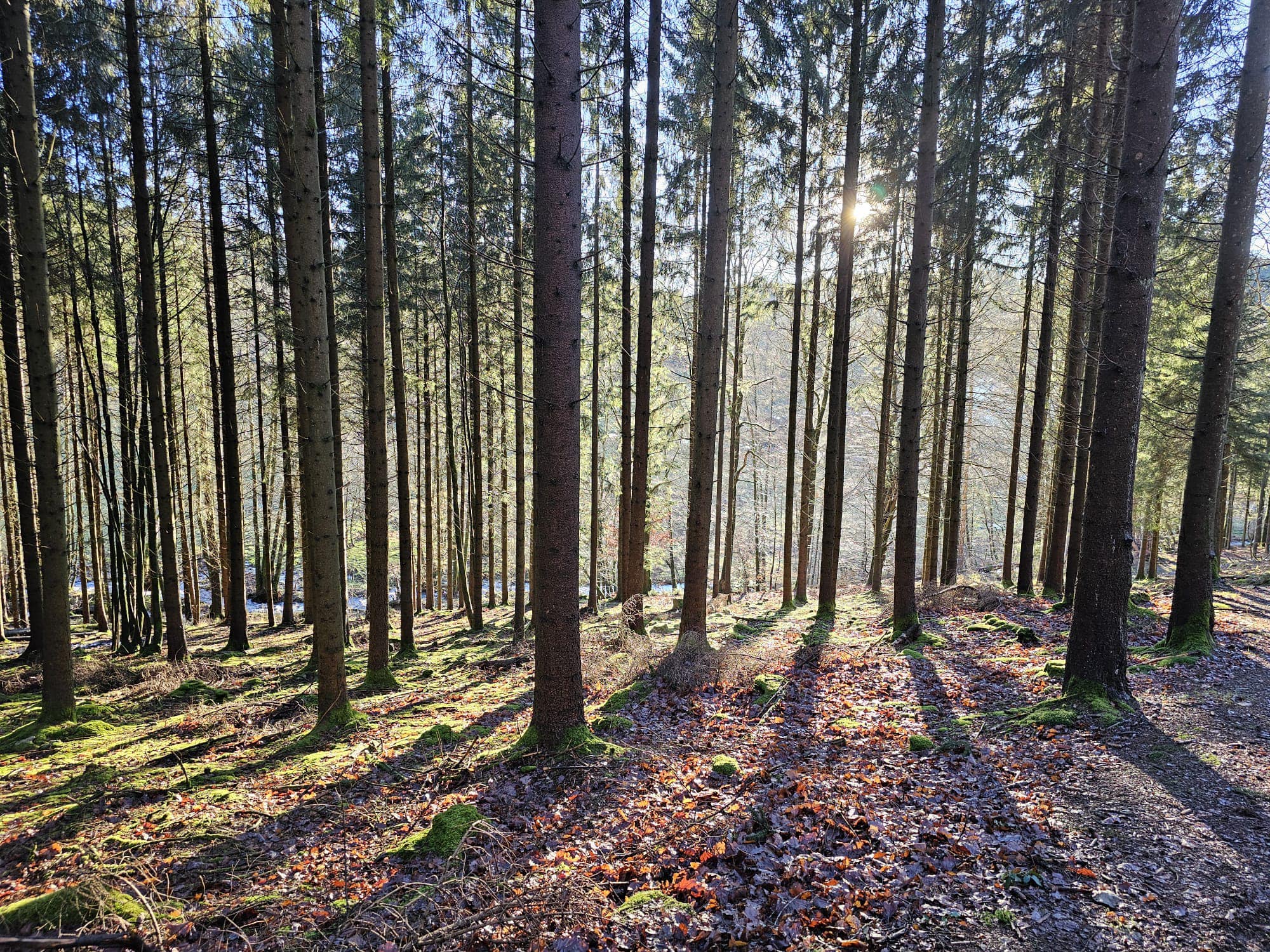 Image de l'événement Escapade infusée