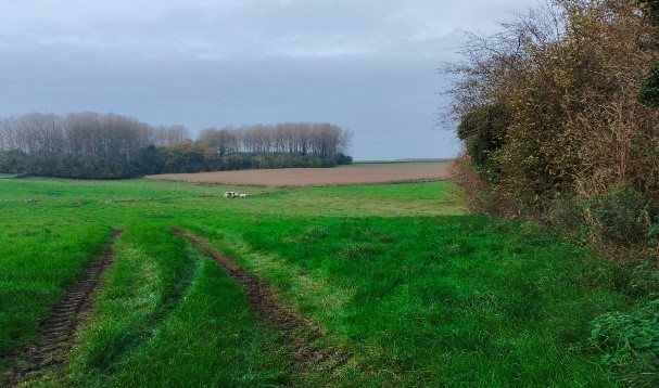 Image de l'événement 49ème Marche des Marbriers (Point vert Adeps)
