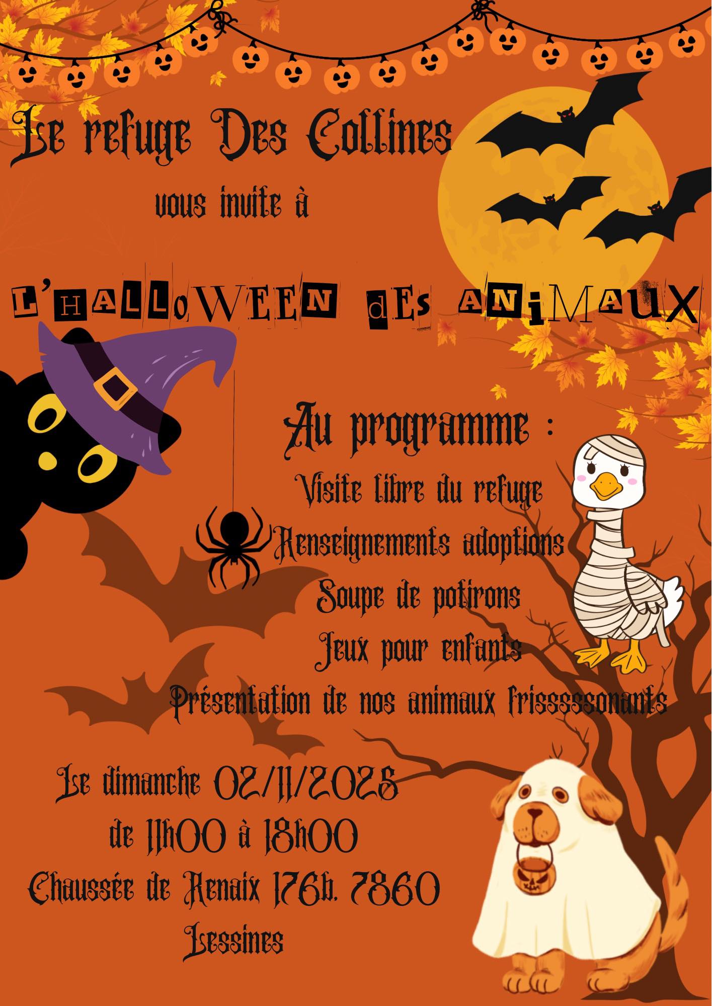 Image de l'événement Halloween des animaux