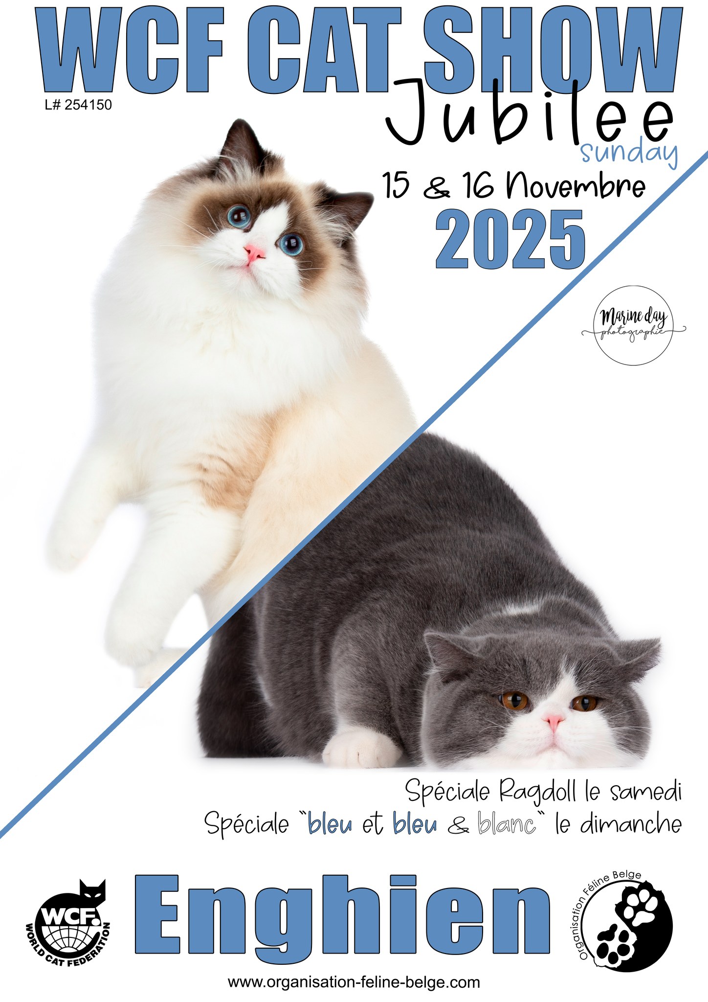 Image de l'événement Exposition Féline Jubilee - Enghien