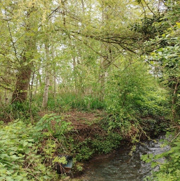 Image de l'événement 18ème Marche des Picardes