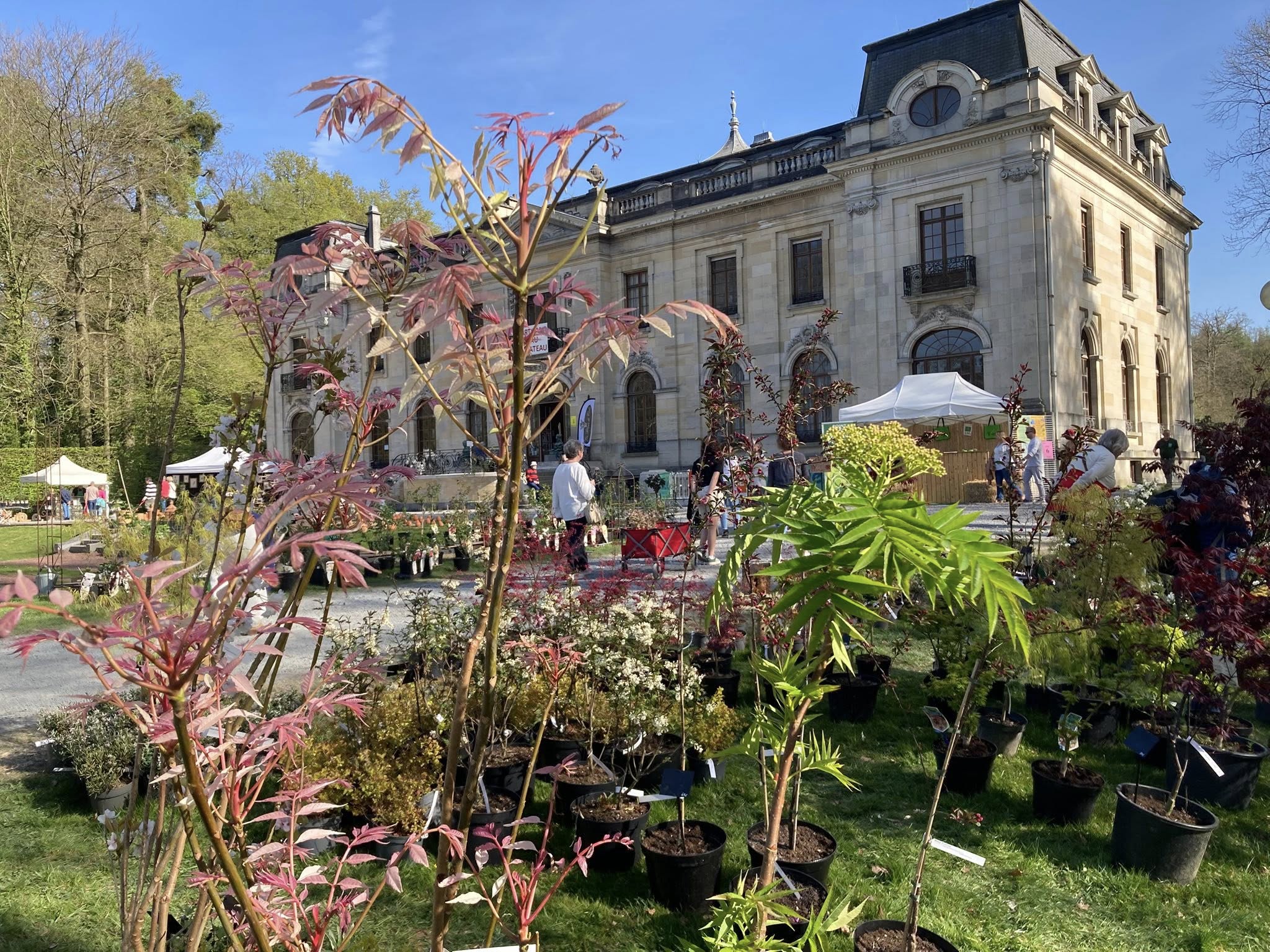 Image de l'événement 21e Foire de jardin du Parc d'Enghien