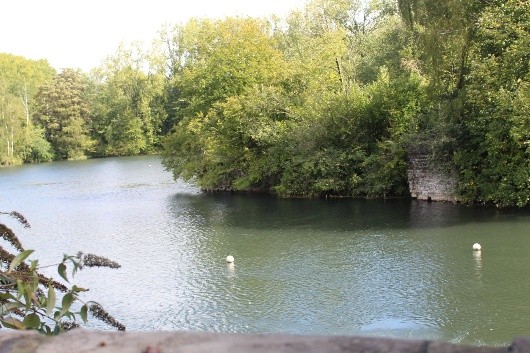 Image de l'événement Balade Nature guidée dans les Carrières de Maffle